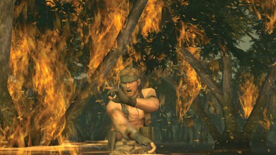 Screenshot for Metal Gear Solid 3: Snake Eater