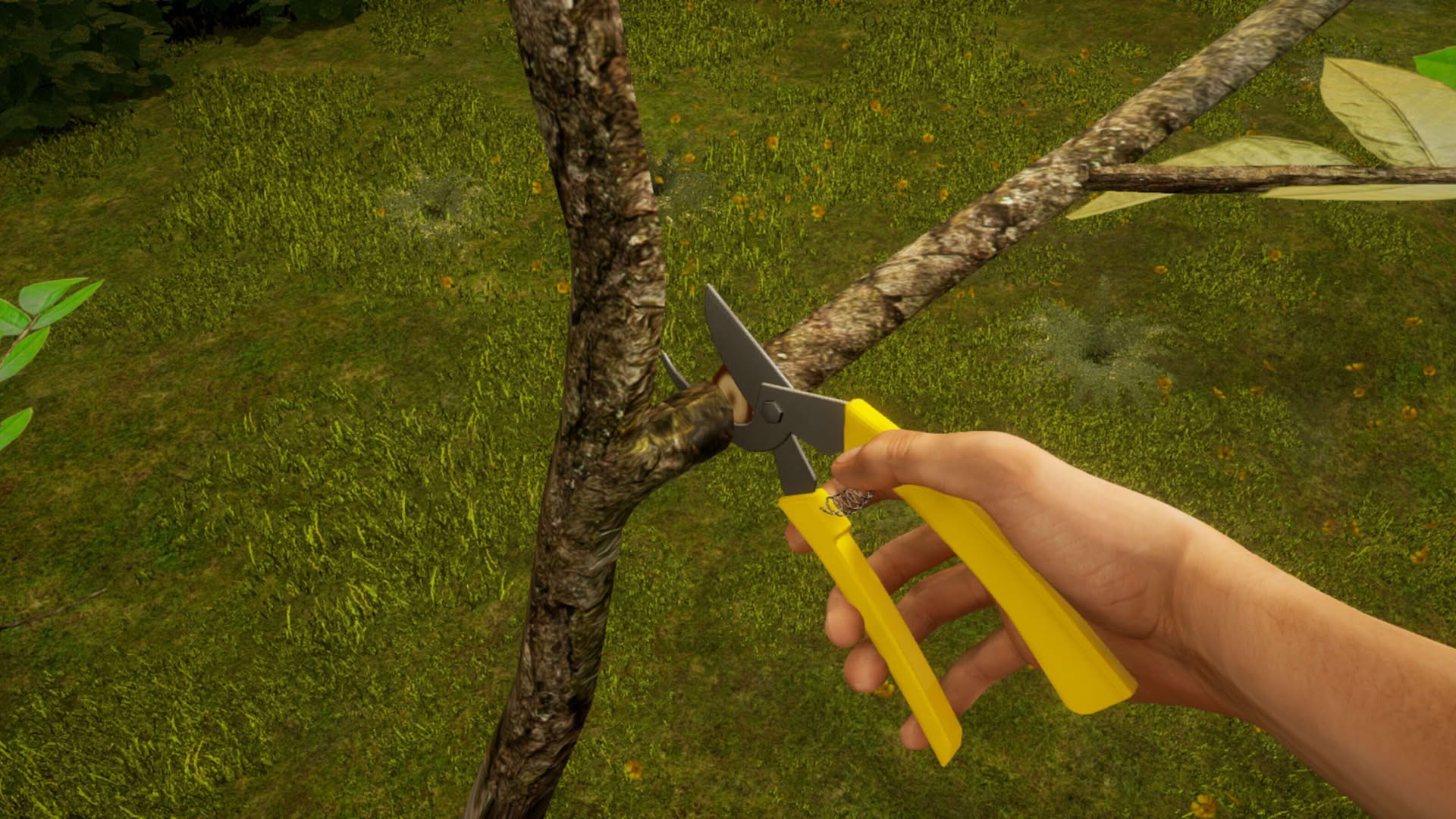 Screenshot for Orchard Simulator