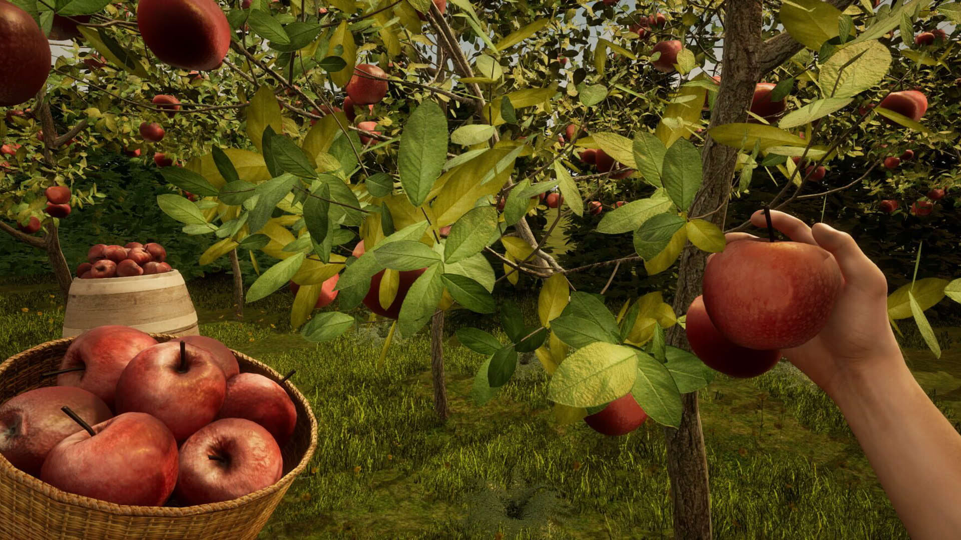 Screenshot for Orchard Simulator