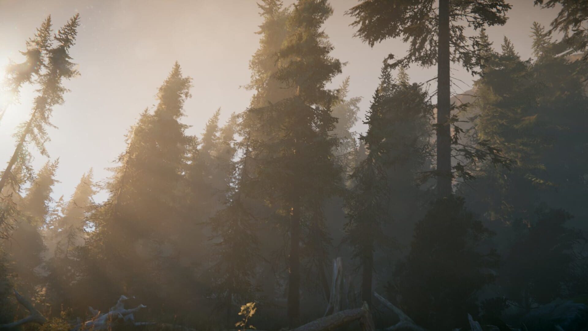 Screenshot for Anthology of Fear