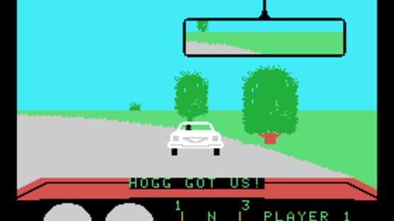 Screenshot for The Dukes of Hazzard
