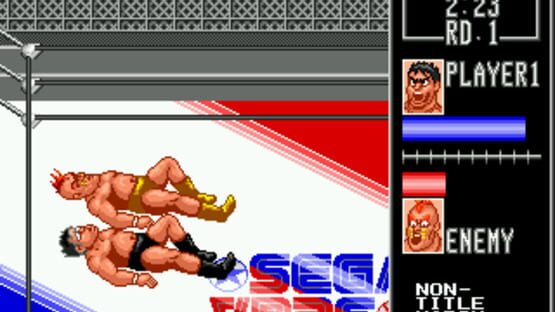 Screenshot for Wrestle War