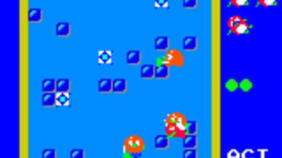 Screenshot for Pengo