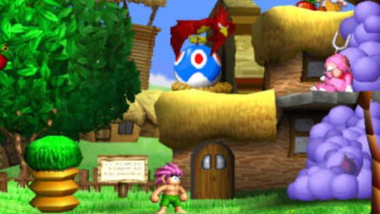 Screenshot for Tomba!