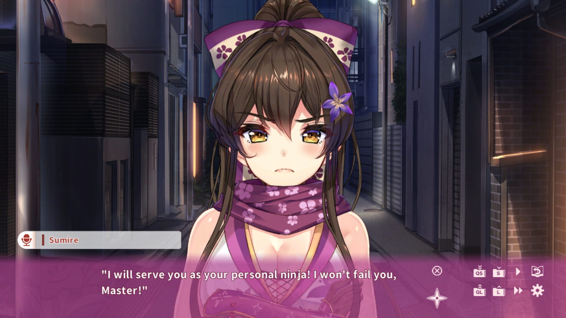 Screenshot for NinNinDays