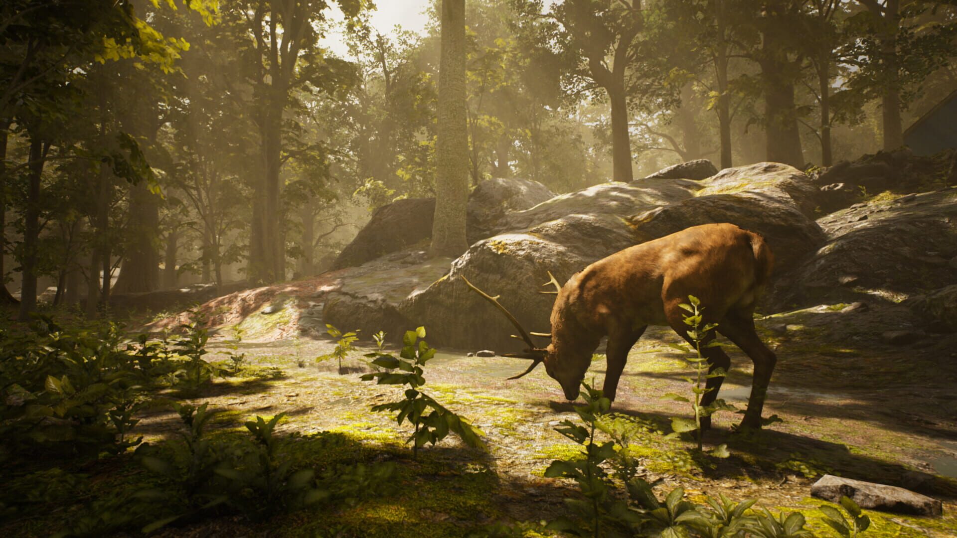 Screenshot for Trapper Simulator