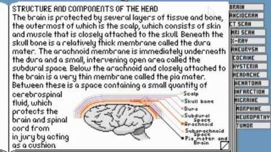 Screenshot for Life & Death II: The Brain