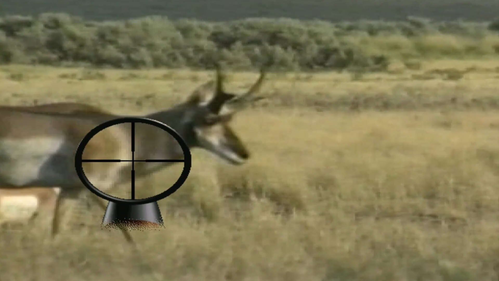 Screenshot for Cabela's Big Game Hunter 4