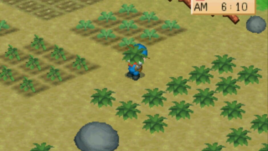 Screenshot for Harvest Moon: Back to Nature