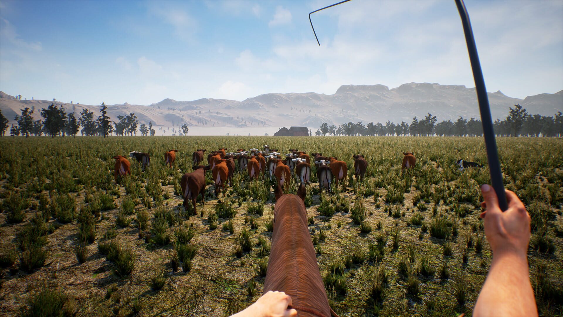 Screenshot for Cowboy Life Simulator