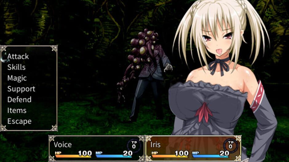 Screenshot for Holy Knight Luviria