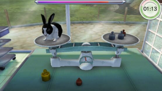 Screenshot for Animal Hospital