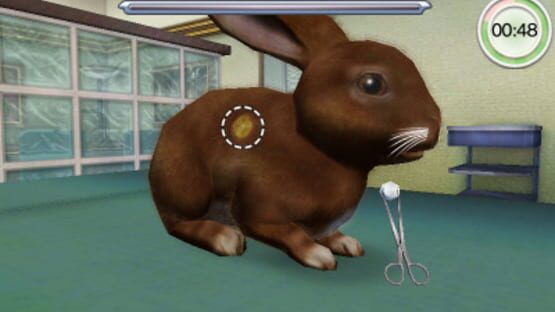 Screenshot for Animal Hospital