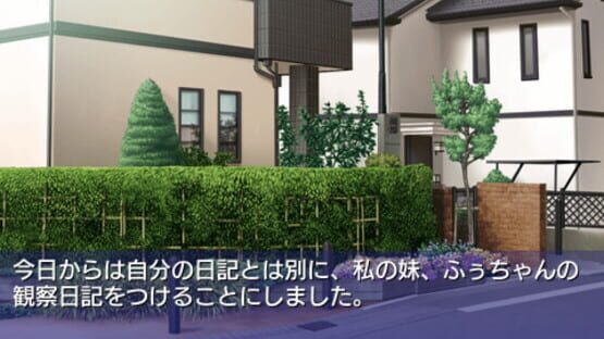 Screenshot for Clannad: Hikari Mimamoru Sakamichi de - First Volume