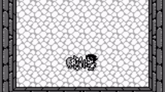 Screenshot for Final Fantasy Adventure