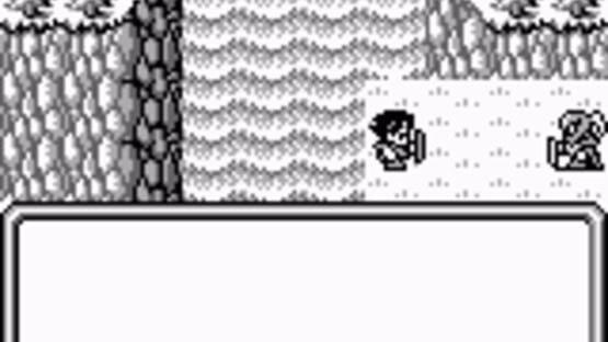 Screenshot for Final Fantasy Adventure