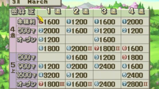 Screenshot for Chocobo Stallion
