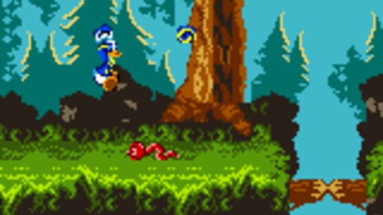 Screenshot for Disney's Donald Duck: Goin' Quackers