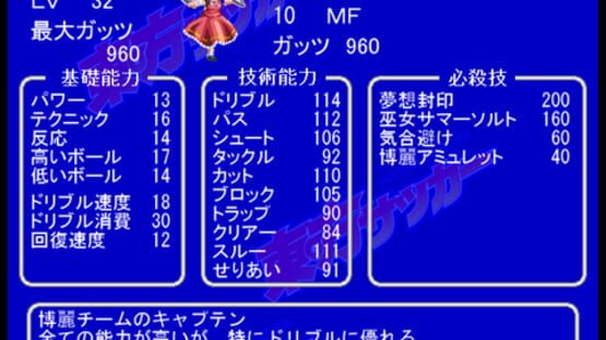 Screenshot for Touhou Soccer