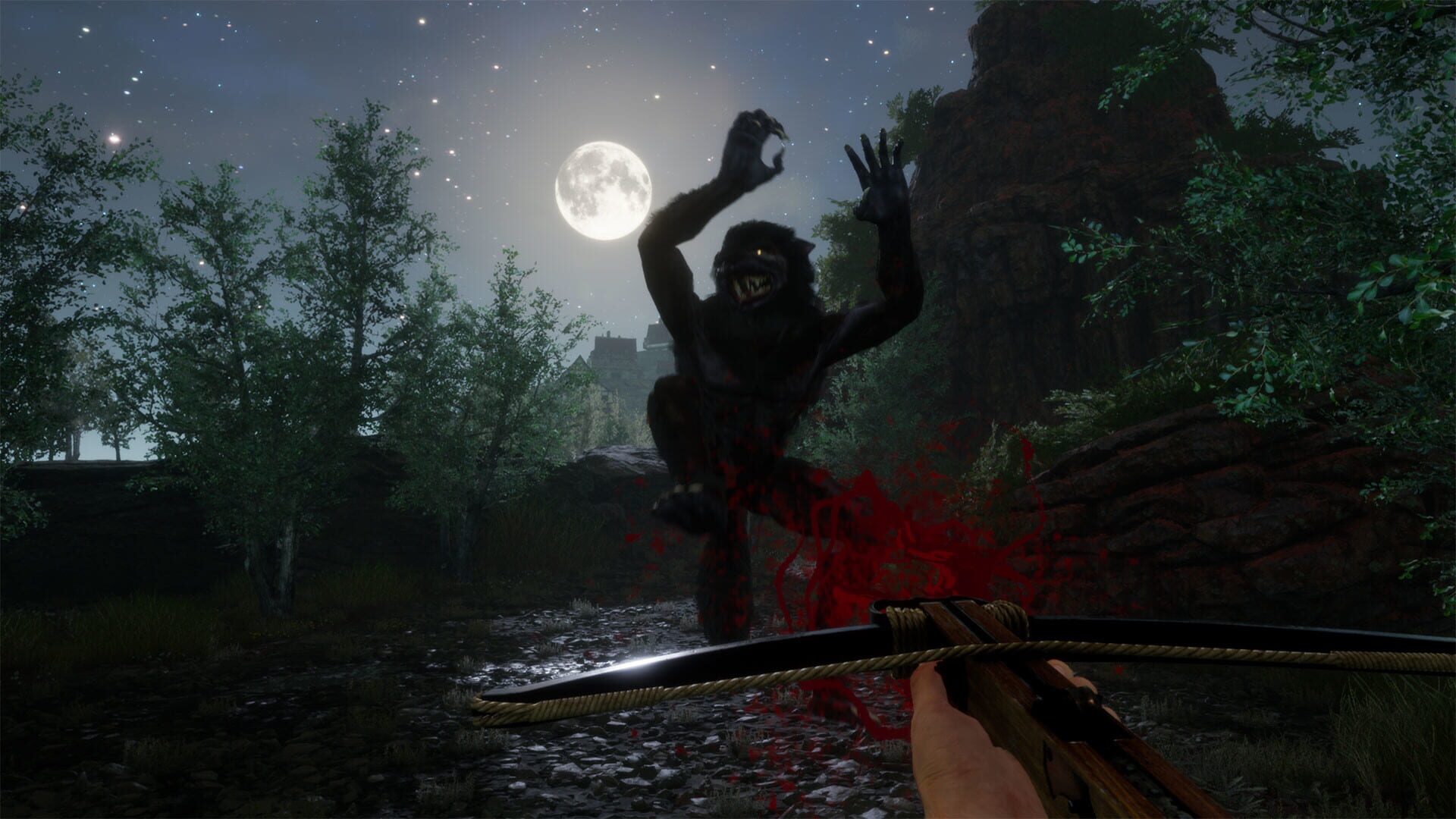 Screenshot for Finding the Soul Orb