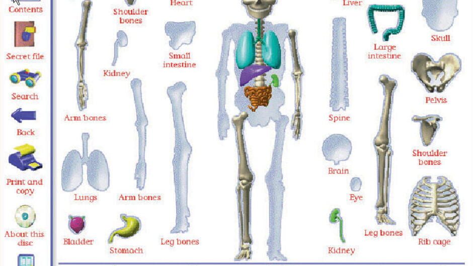 Screenshot for My Amazing Human Body