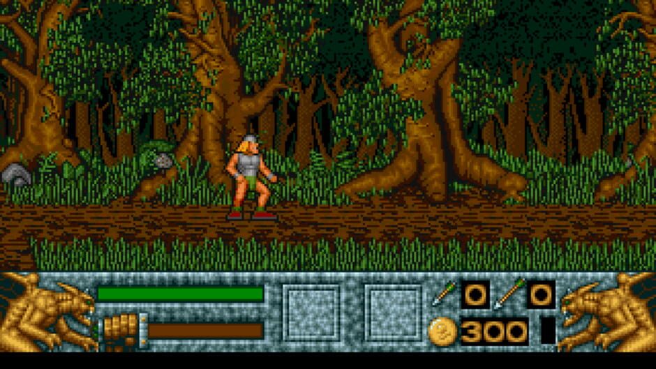 Screenshot for Barbarian II