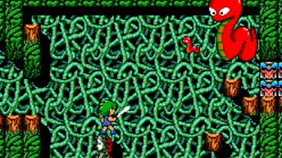 Screenshot for Golvellius: Valley of Doom