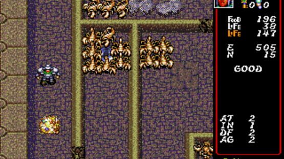 Screenshot for Dungeon Explorer