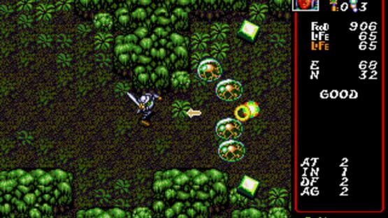 Screenshot for Dungeon Explorer