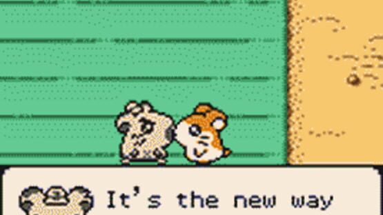 Screenshot for Hamtaro: Ham-Hams Unite!