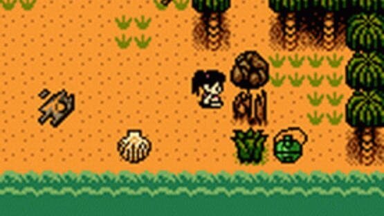 Screenshot for Survival Kids