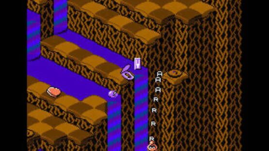 Screenshot for Snake Rattle 'n' Roll