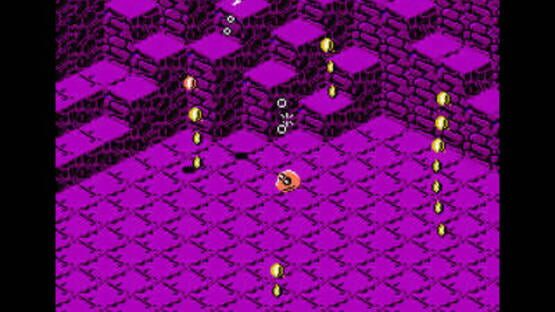 Screenshot for Snake Rattle 'n' Roll