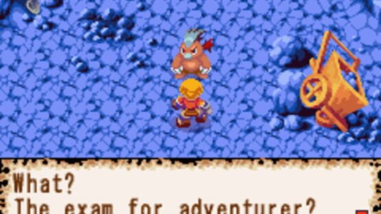 Screenshot for Dokapon: Monster Hunter
