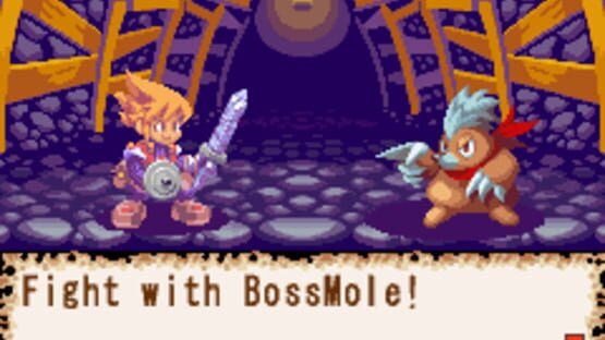 Screenshot for Dokapon: Monster Hunter