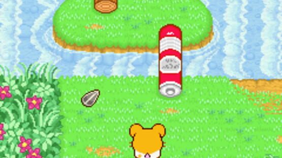 Screenshot for Hamtaro: Ham-Ham Heartbreak