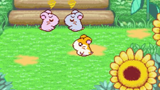 Screenshot for Hamtaro: Ham-Ham Heartbreak