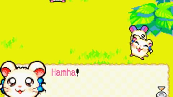 Screenshot for Hamtaro: Rainbow Rescue