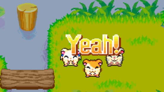 Screenshot for Hamtaro: Rainbow Rescue