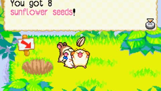 Screenshot for Hamtaro: Rainbow Rescue