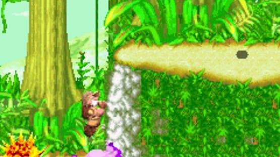 Screenshot for Sabre Wulf
