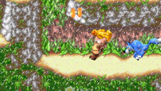 Screenshot for Sabre Wulf
