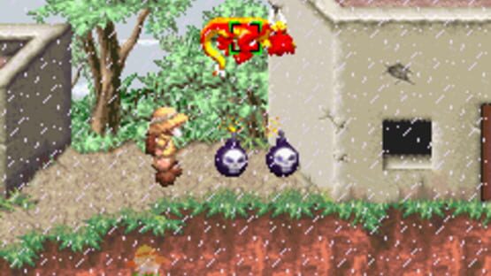 Screenshot for Sabre Wulf