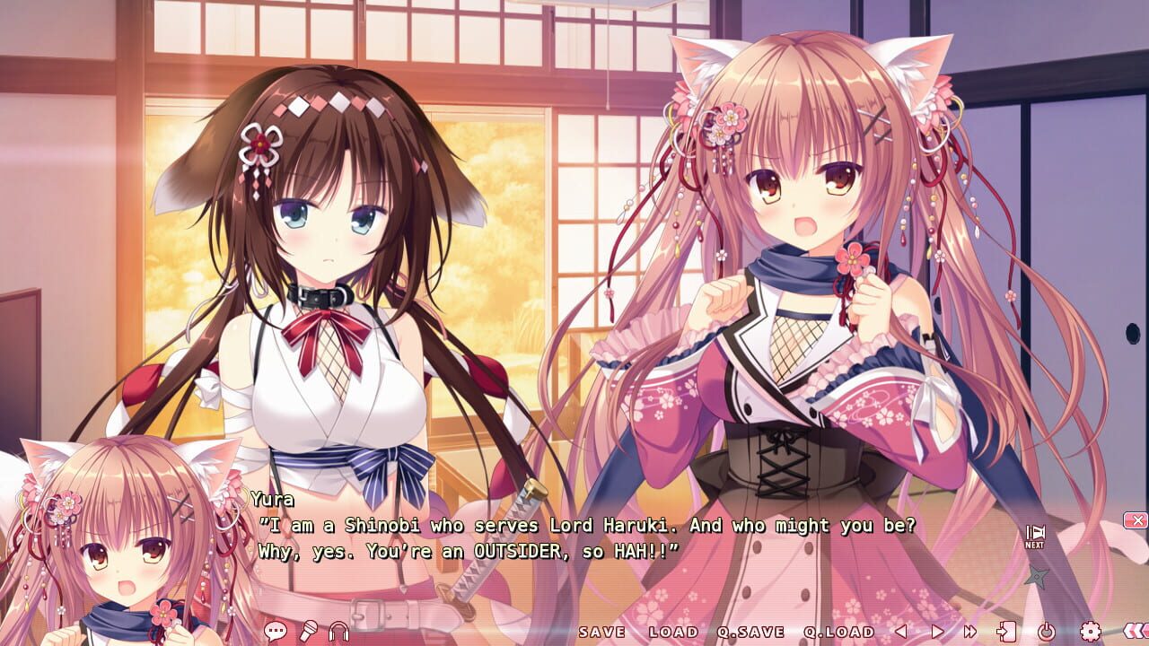 Screenshot for Neko-Nin ExHeart 3