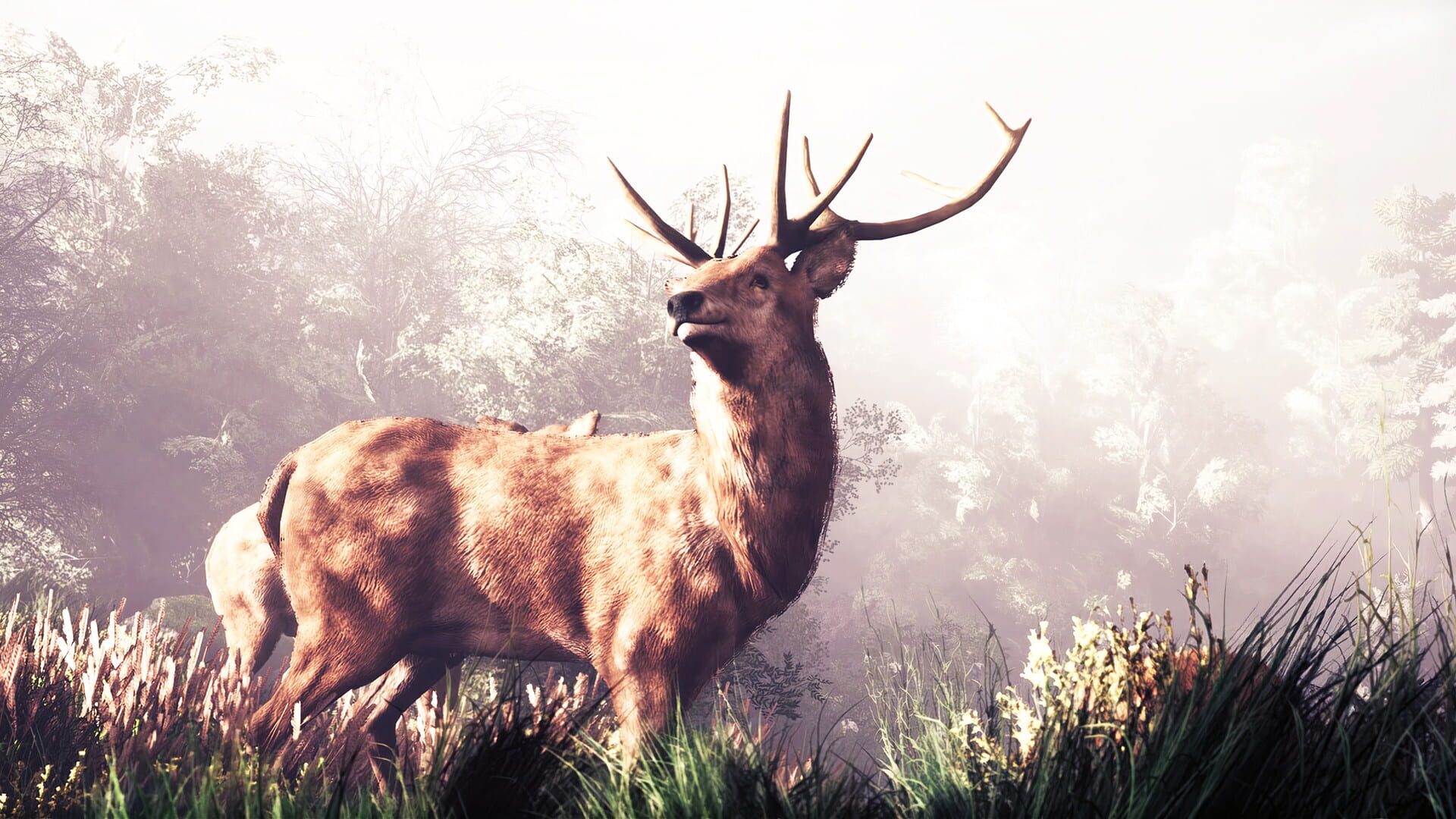 Screenshot for The House in the Hollow