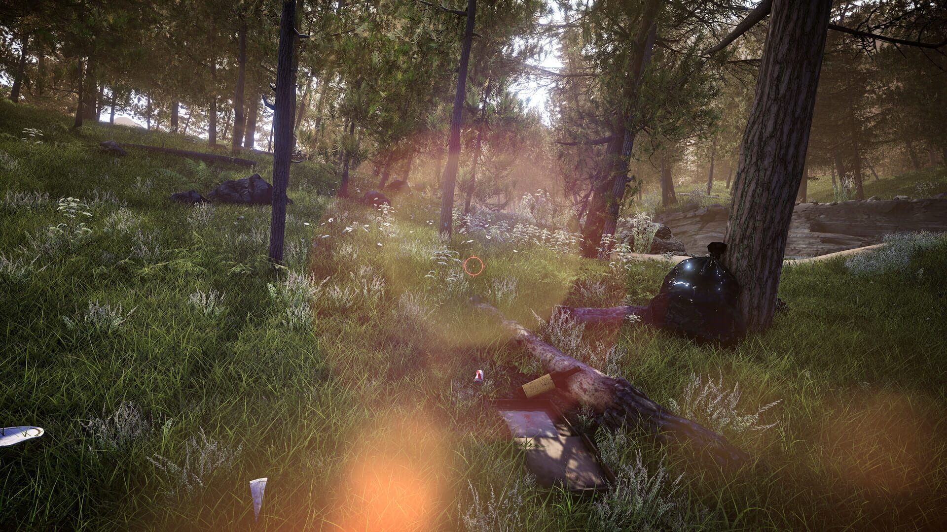 Screenshot for Forest Ranger Simulator