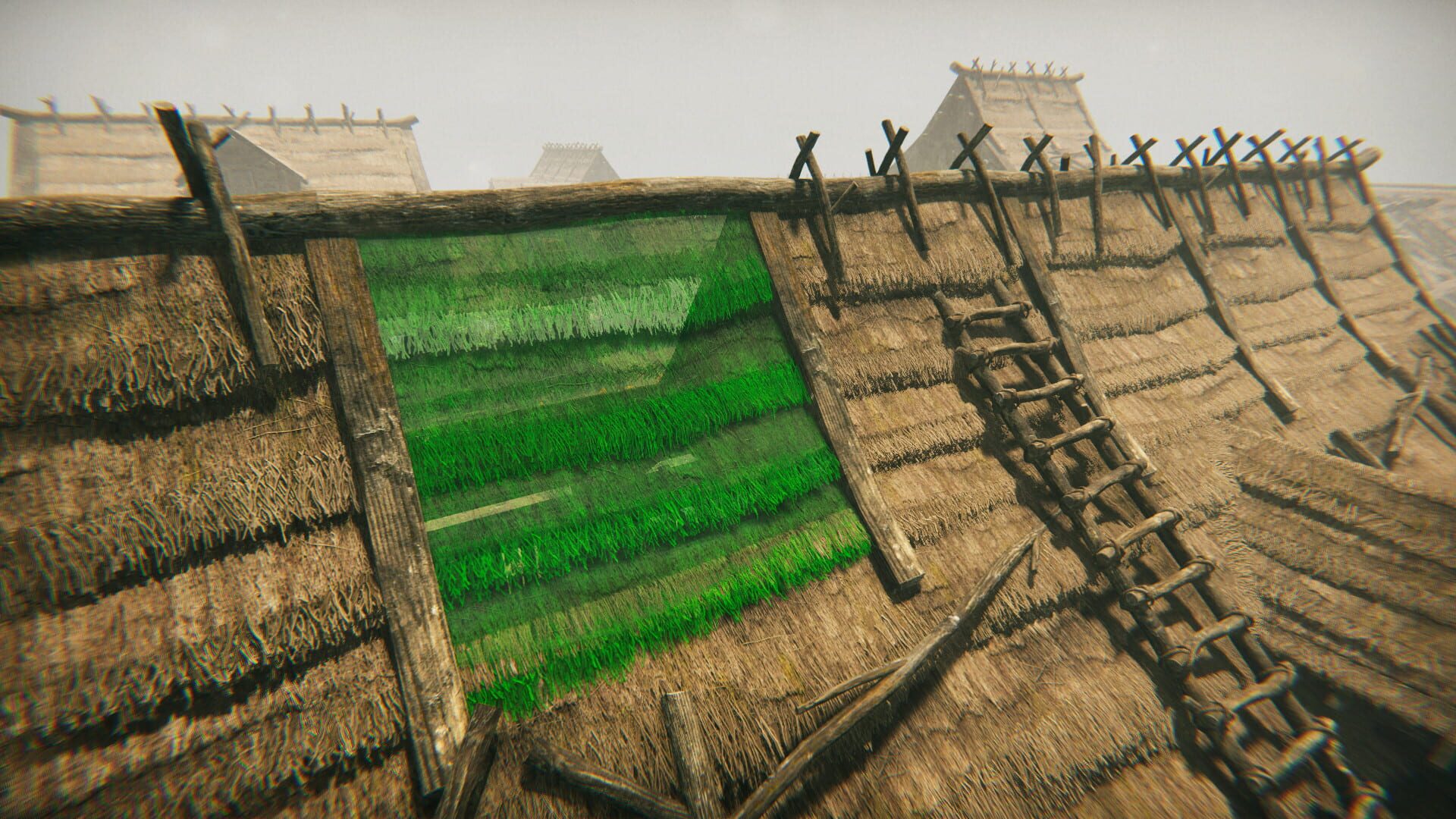 Screenshot for Medieval Frontiers