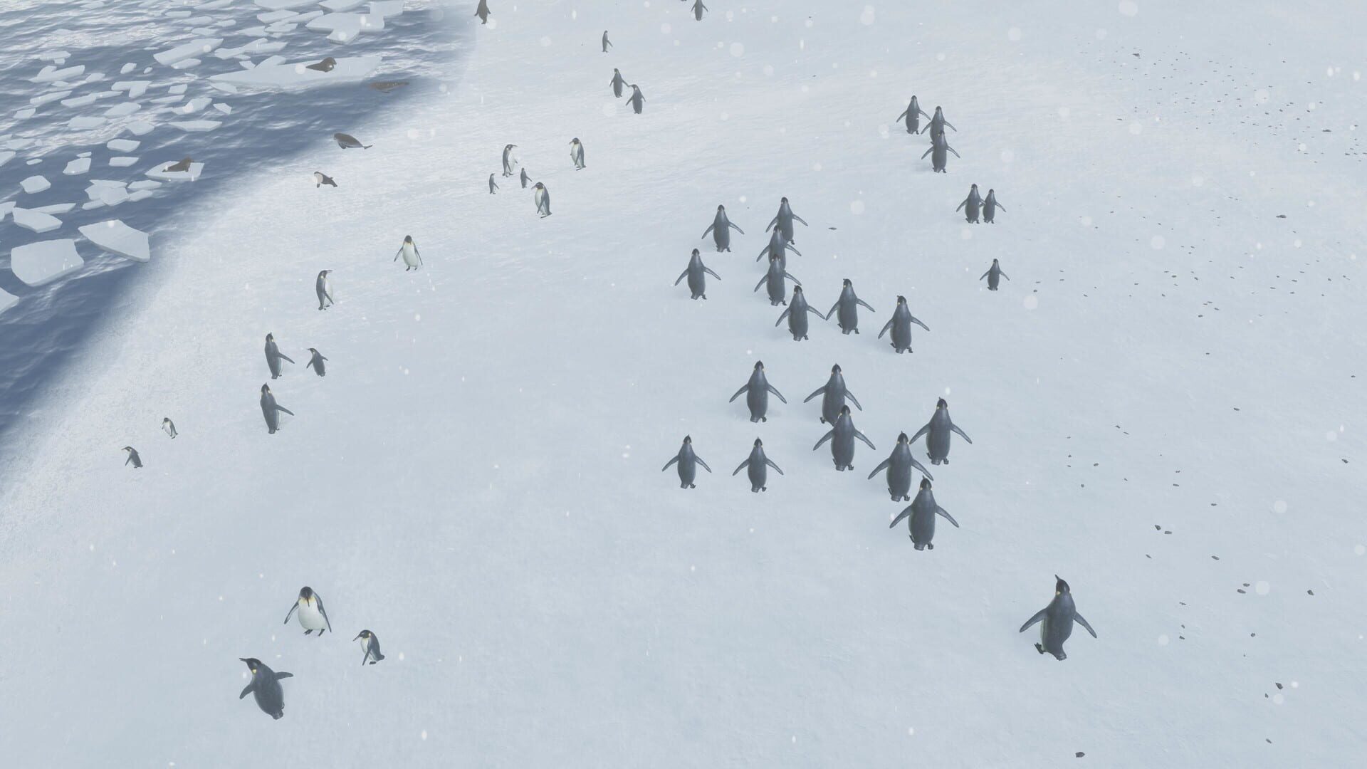 Screenshot for Natural Instincts