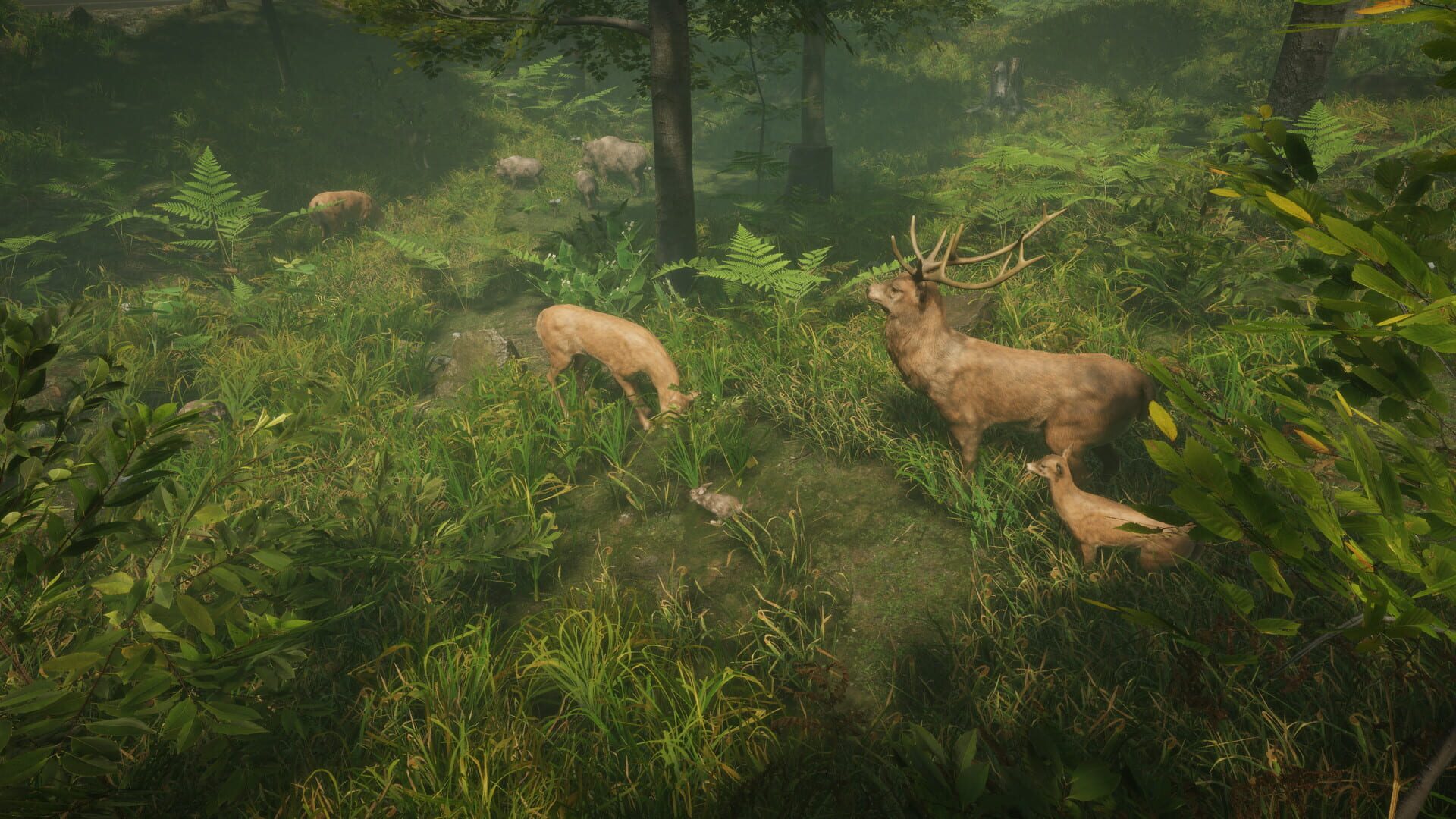Screenshot for Natural Instincts