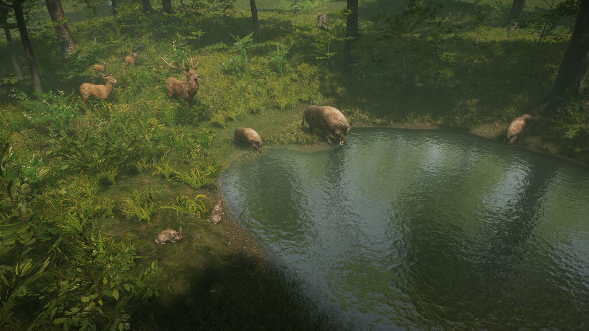 Screenshot for Natural Instincts